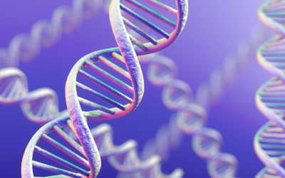 Décryptage de l’ADN : les scientifiques font de nouvelles découvertes sur le génome humain