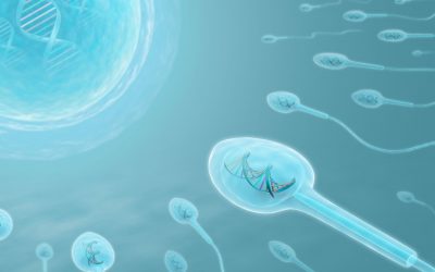 infertilité masculine et enjeux environnementaux