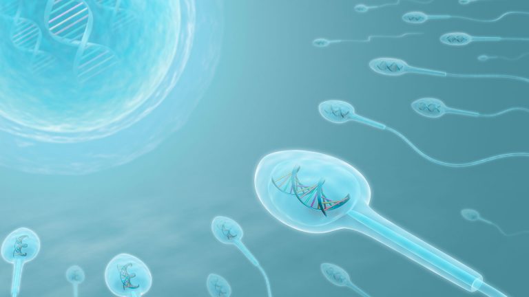Infertilité masculine et enjeux environnementaux