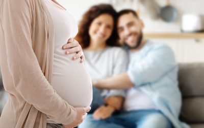 Surrogacy: The Court of Appeal Confirms the Disconnection of a Commercial Site