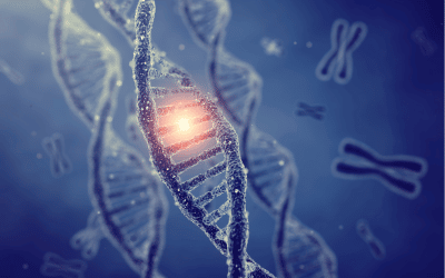 Edition du génome : un nouvel essai clinique expérimental en thérapie génique