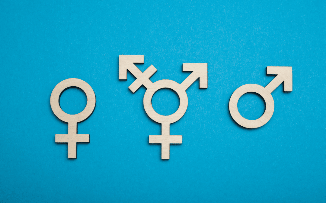 Sexe « neutre » en France ? La Cour européenne des droits de l’homme dit non