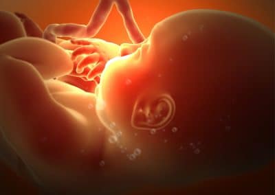 l’épineux débat sur le statut de l’enfant in utero