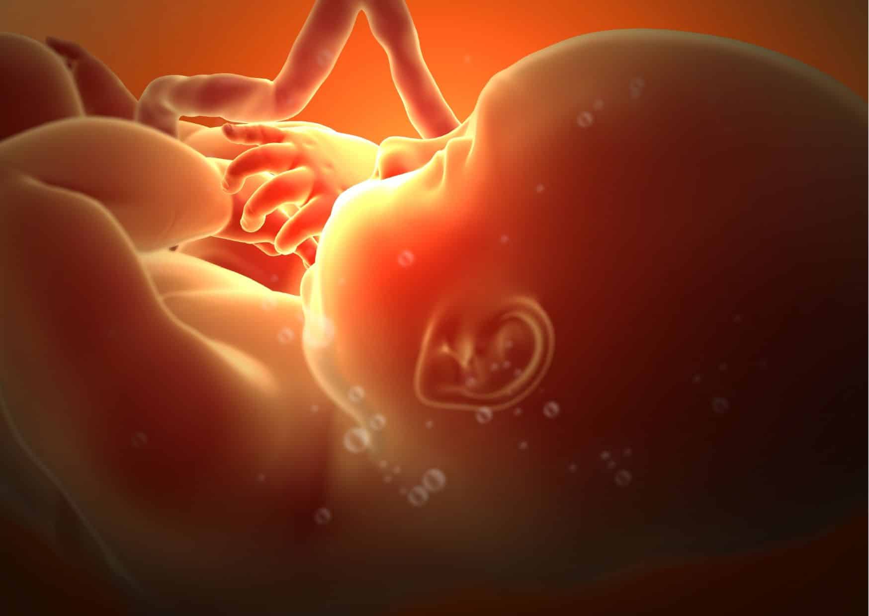 statut du foetus juridique pierre palmade enfant in utero