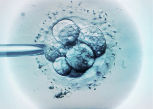 recherche sur l embryon humain pma