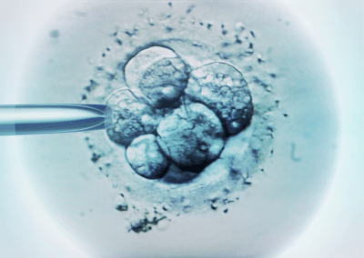 USA : Des embryons au cœur d’une bataille judiciaire