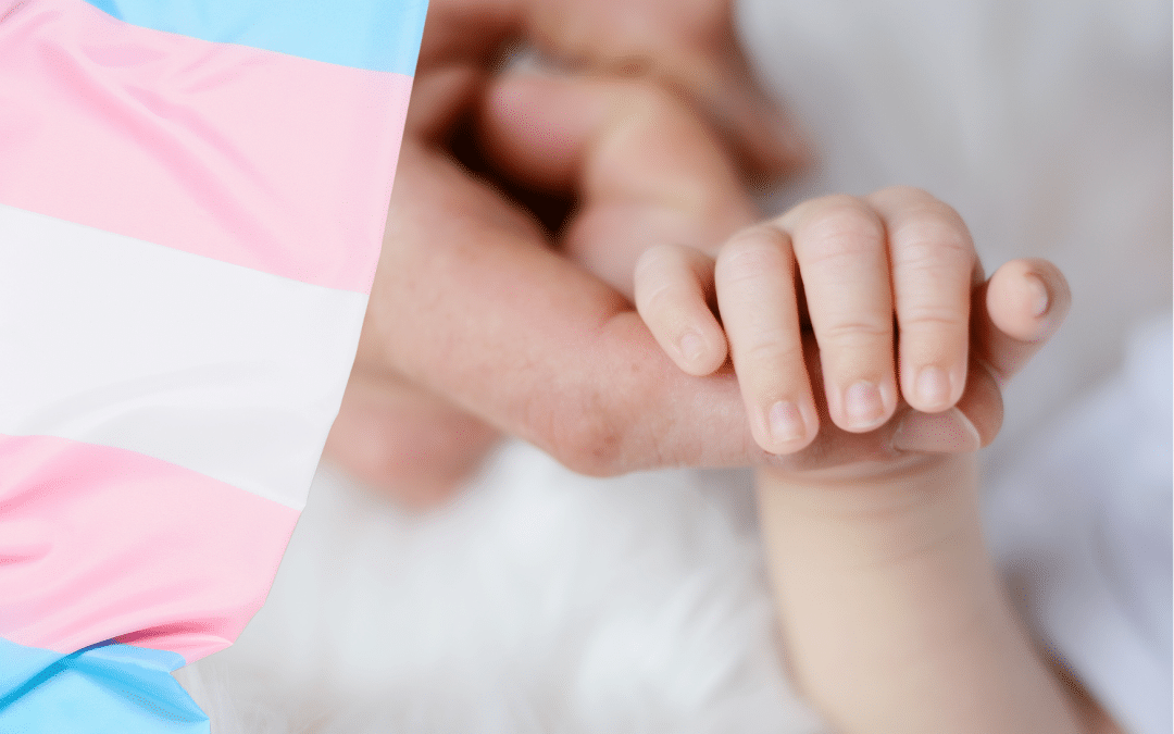 Naissance et transgenre : quand les mots ne disent plus la réalité