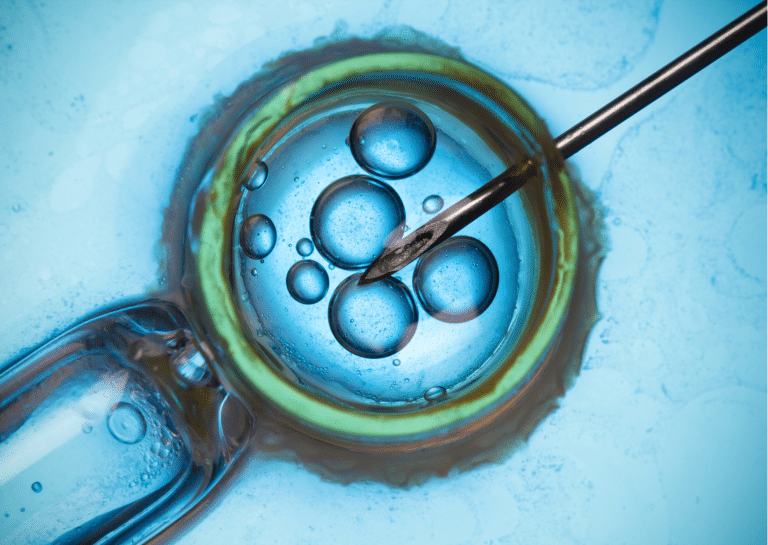 fiv pma santé procréation médicalement assistée