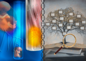 pma : réserve du conseil constitutionnel sur les informations du tiers donneur