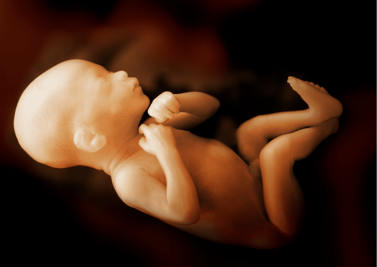 Succès d’une opération in utero : le fœtus, un patient à part entière