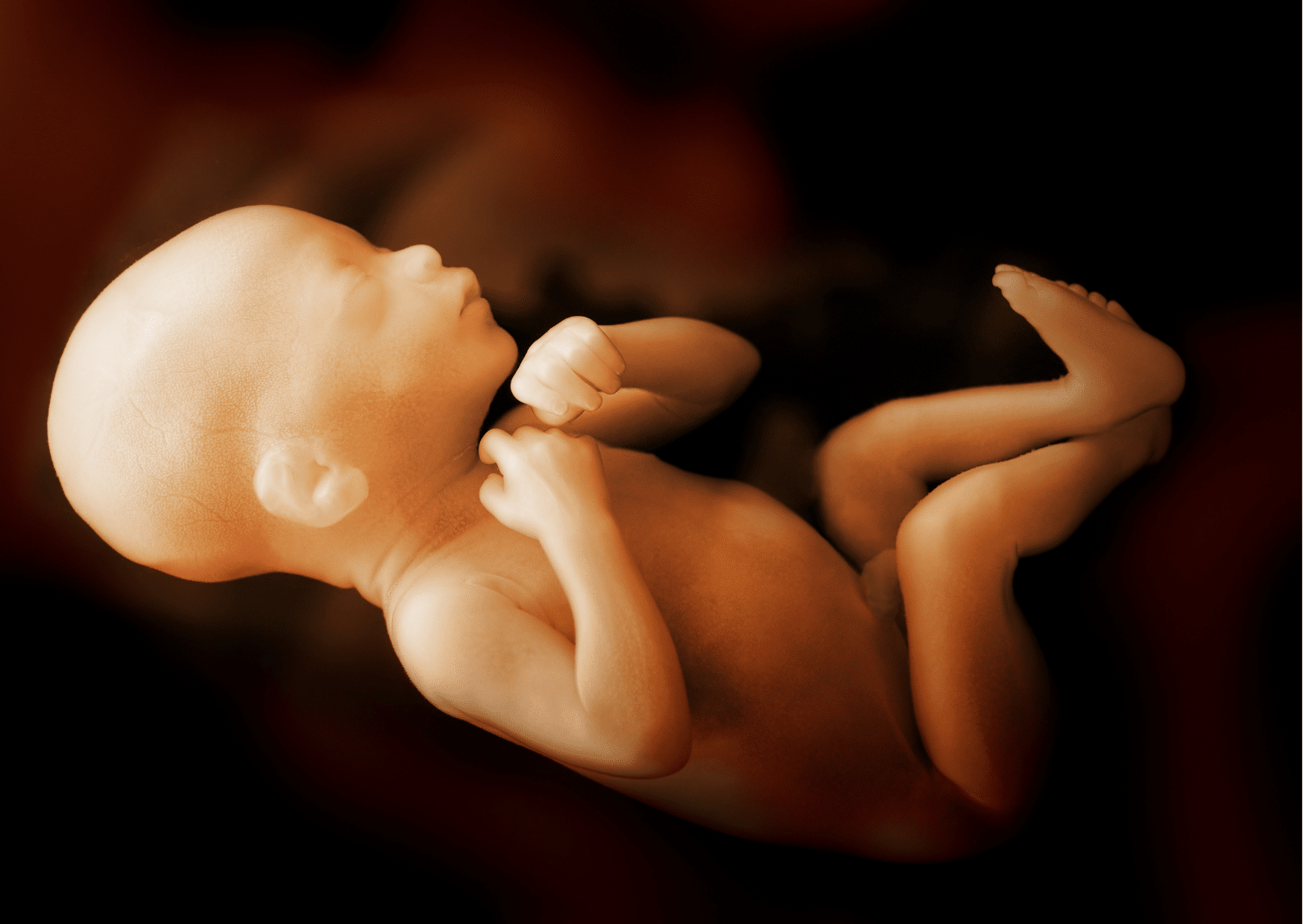 succès d’une opération in utero : le fœtus, un patient à part entière