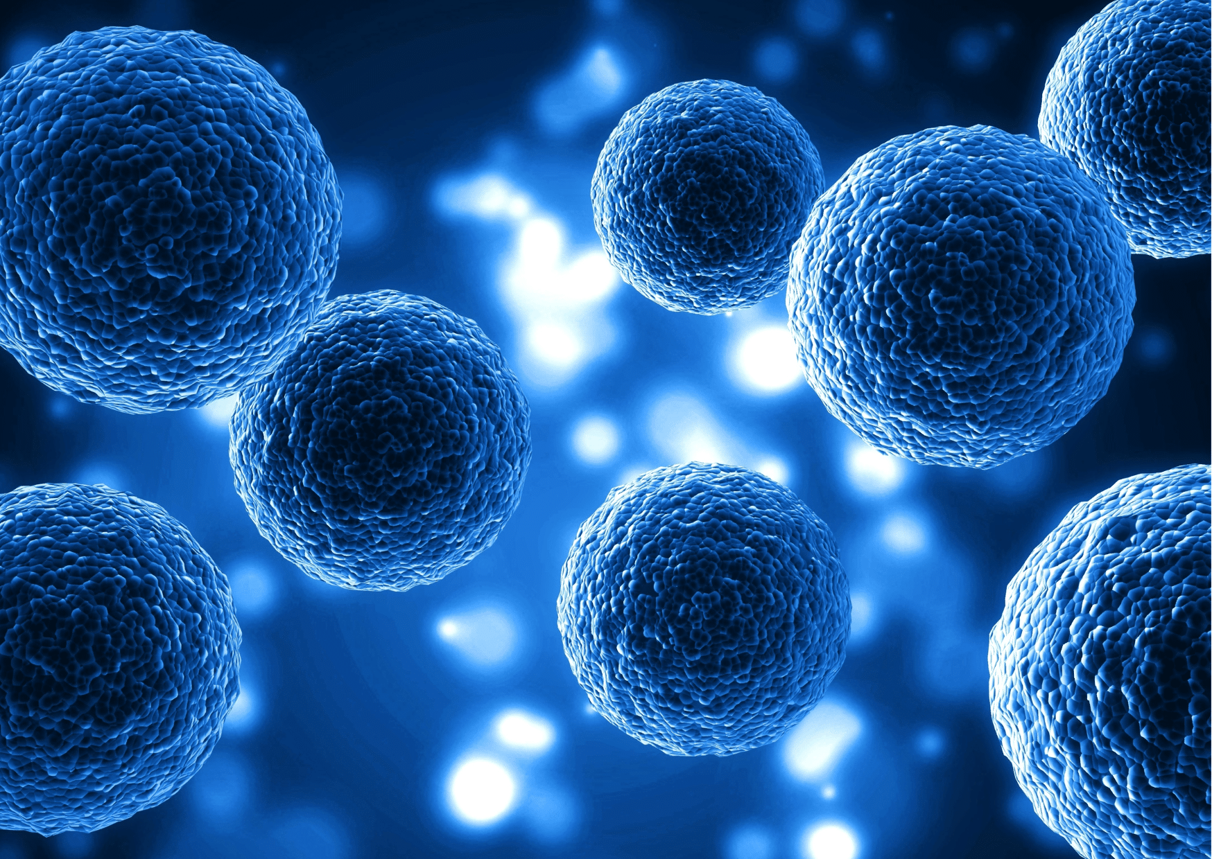 des tentatives de "modèles d’embryons" fabriqués artificiellement ?