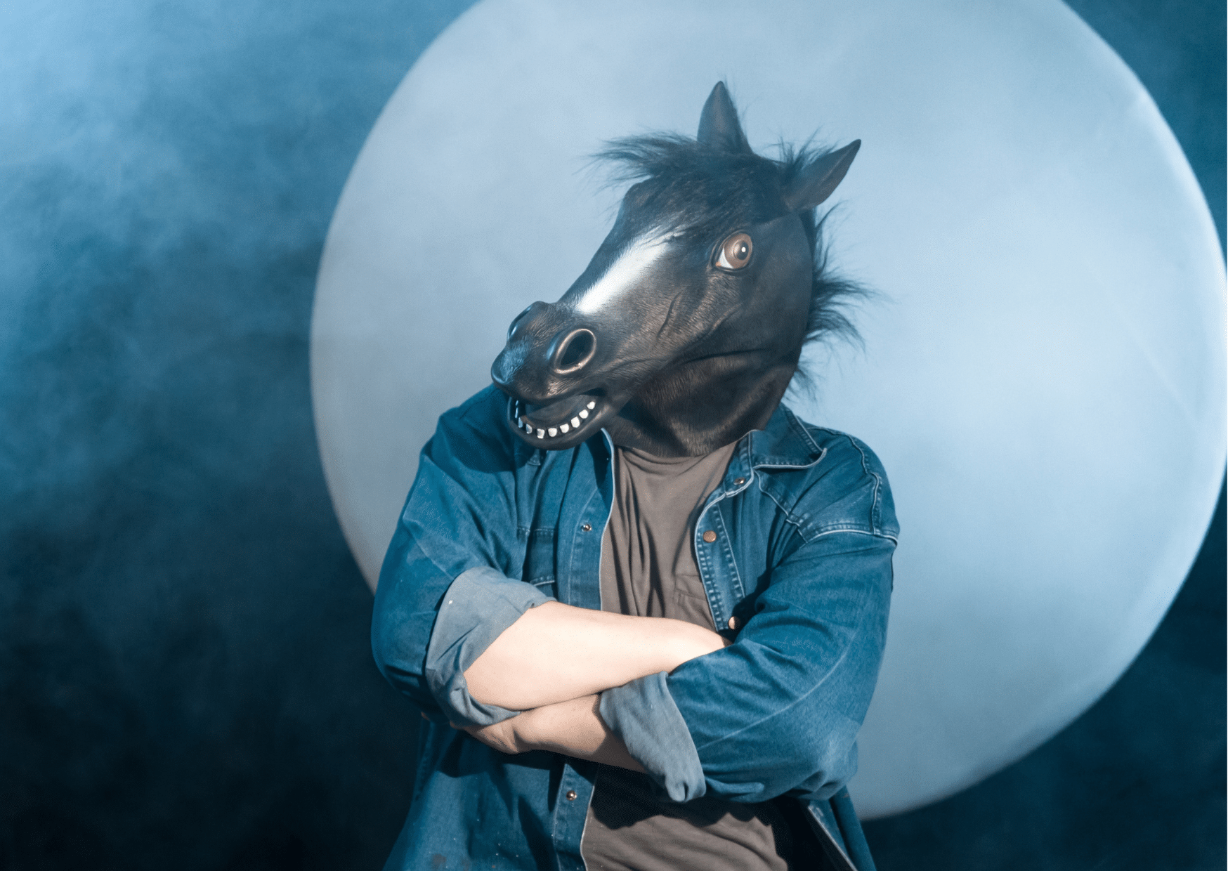 bien-être animal, cause animale, de quoi parle-t-on ?