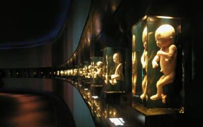 The Procreation Marketplace: An Exhibition Which Says a Great Deal