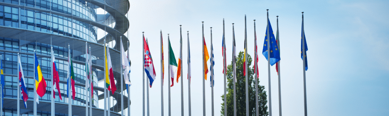 vita international présence de vita à l'international