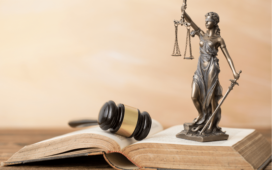 [CP] IVG dans la constitution : instrumentalisation indécente de l’avortement