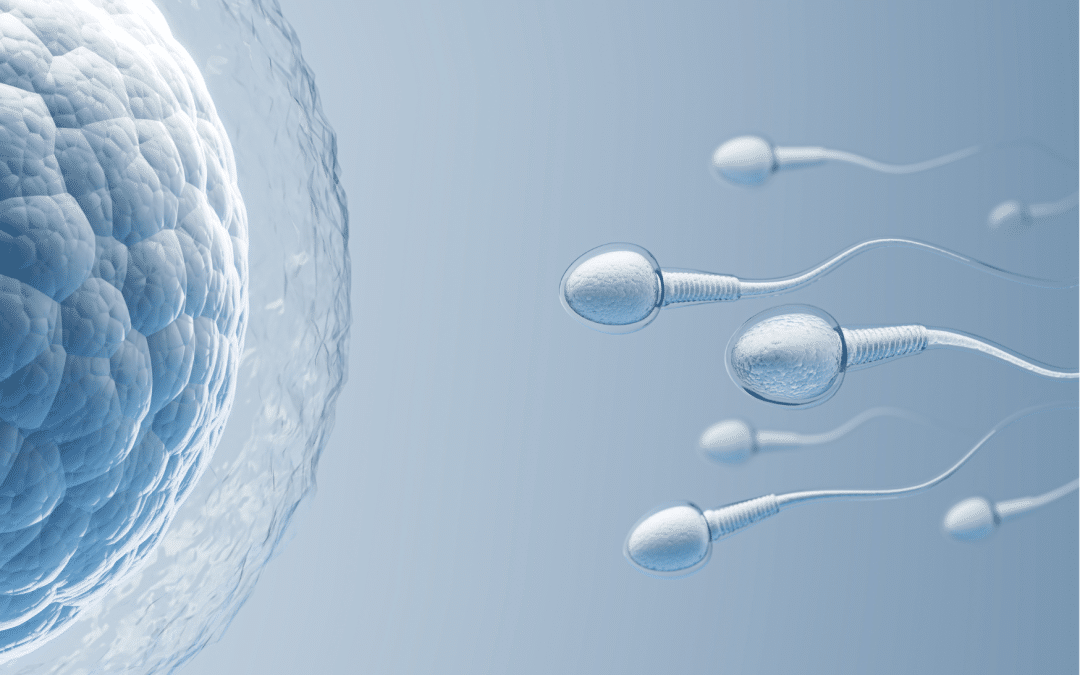 Infertilité masculine et exposition aux insecticides : une étude confirme un lien