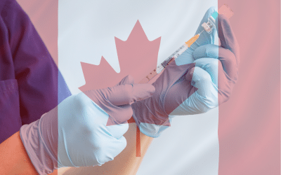 Le Canada bat le triste record du nombre d’euthanasies