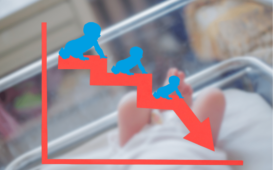 Analyse des variations de la fécondité en France