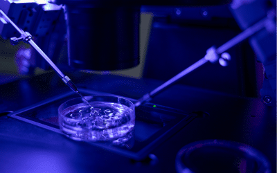 l’académie de médecine, favorable à l’auto-conservation des ovocytes