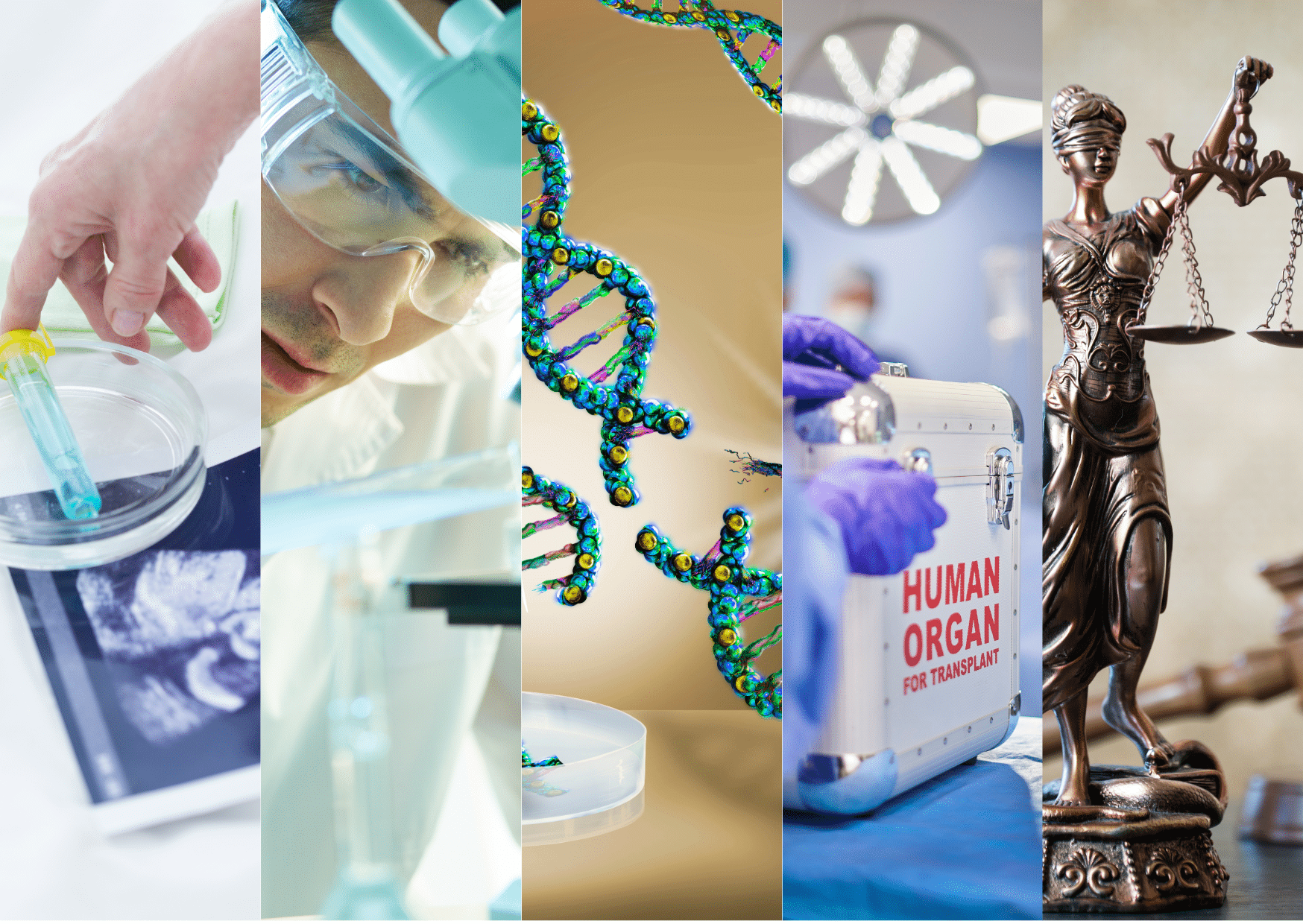 où en est-on dans la législation bioéthique en france ?