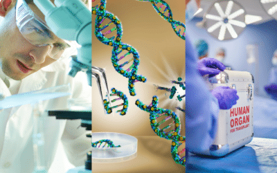 Où en est-on dans la législation bioéthique en France ?