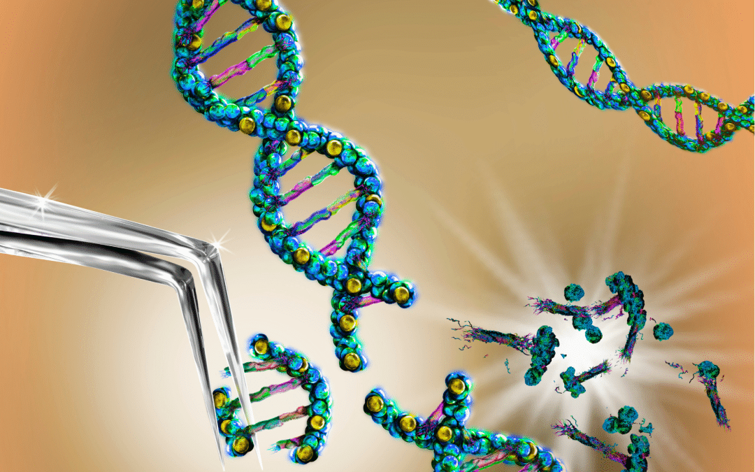 Loi de bioéthique 2021 : Le diagnostic pré implantatoire (DPI)