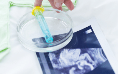 2021 Bioethics Law: Assisted Reproductive Technology (ART)