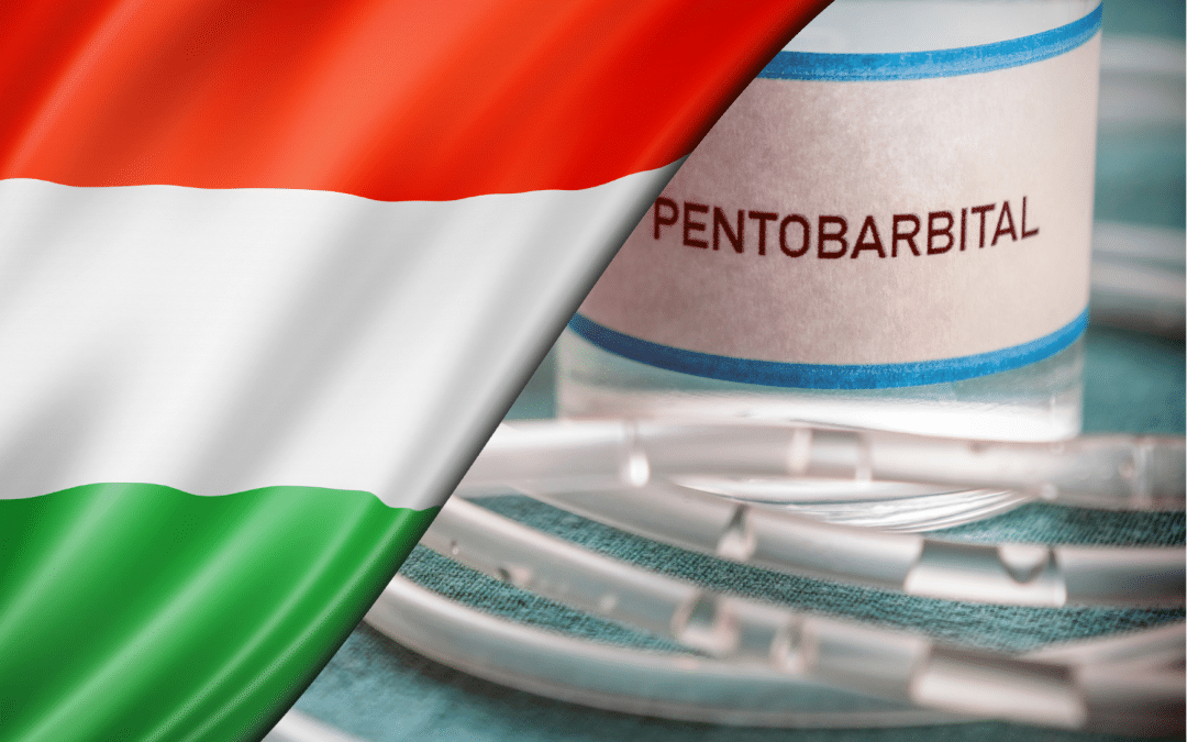 Affaire Karsai c. Hongrie : la CEDH juge qu’il n’y a pas de droit au suicide assisté