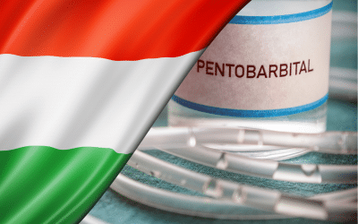 affaire karsai c. hongrie : la cedh juge qu’il n’y a pas de droit au suicide assisté