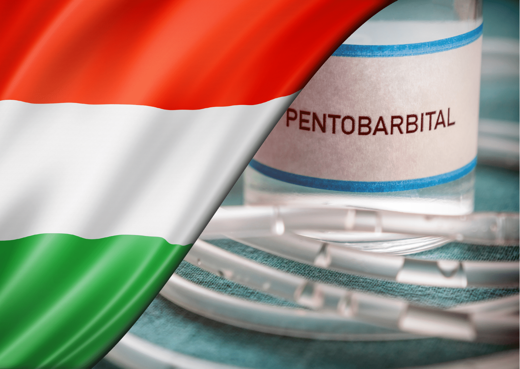 affaire karsai c. hongrie : la cedh juge qu’il n’y a pas de droit au suicide assisté