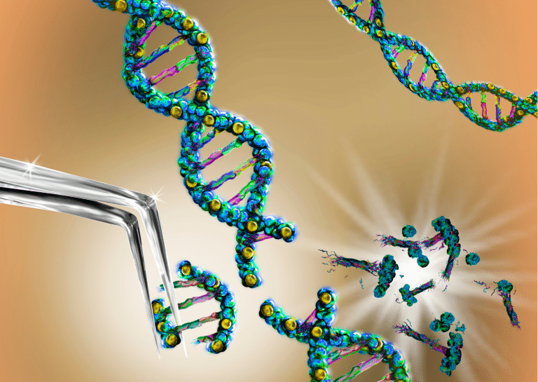 Pre-implantation Genetic Diagnosis (PIGD)