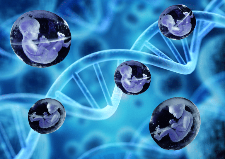 Embryo selection according to its future IQ?