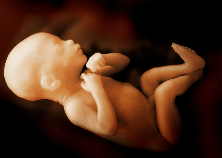 “Palmade scandal”: The impeded mourning for the stillborn child