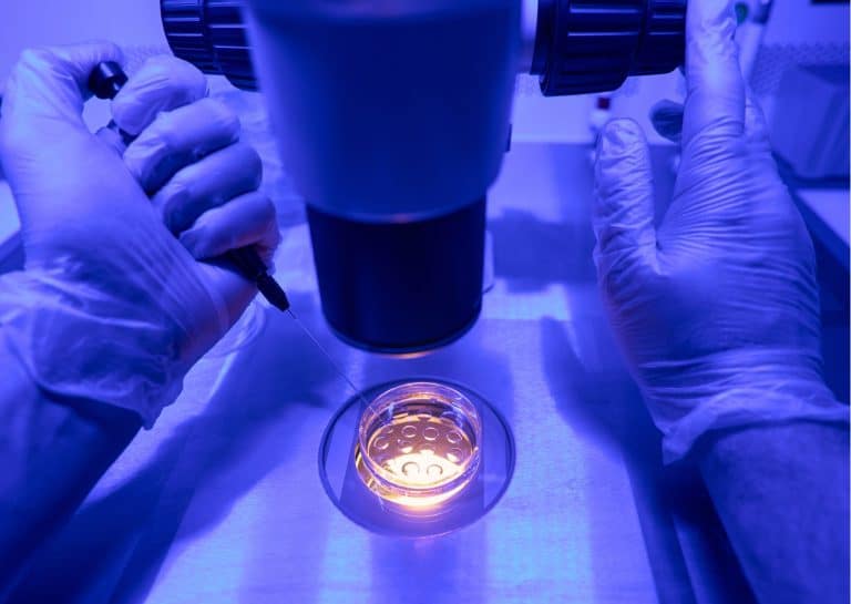 2021 Bioethics law: The fate of embryos in the balance?