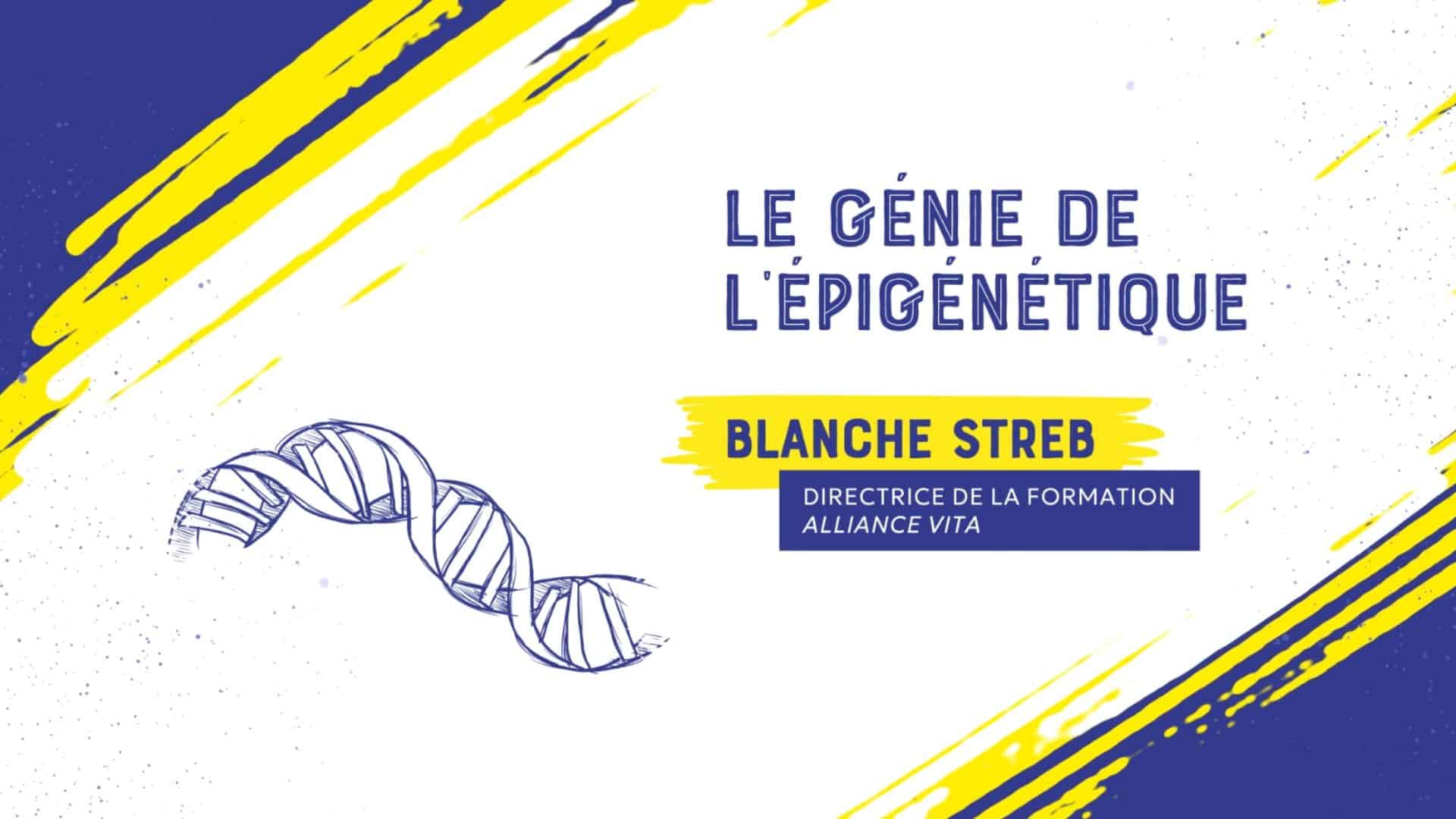 soiree 1 video 1 blanche streb