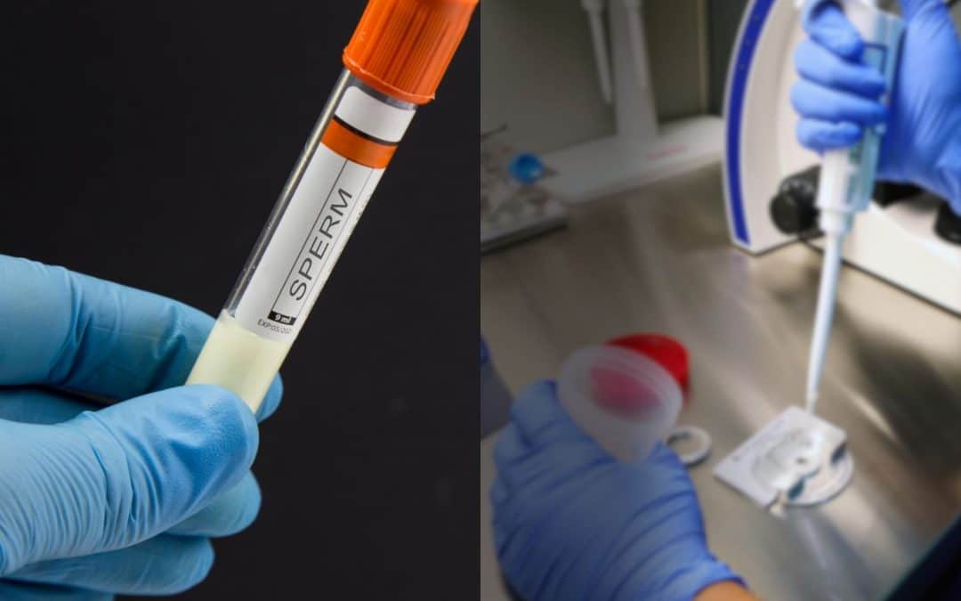 Don de sperme, une pratique à risque