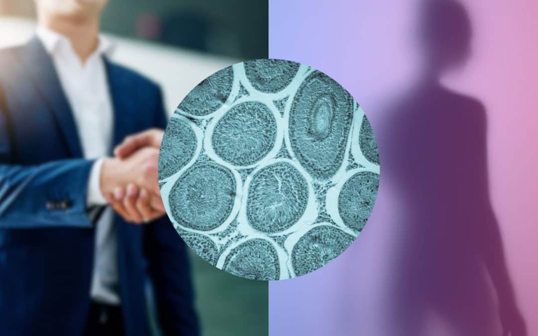 Santé ou marché ? Les enjeux cachés de la congélation des ovocytes