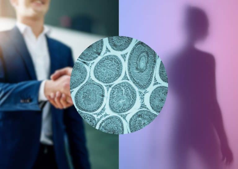 the hidden stakes of oocyte preservation