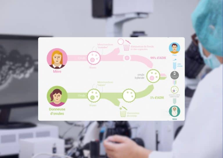 Nouvelles naissances par FIV 3 parents en Angleterre