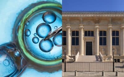 pma post mortem : de nouvelles brèches dans l’interdiction