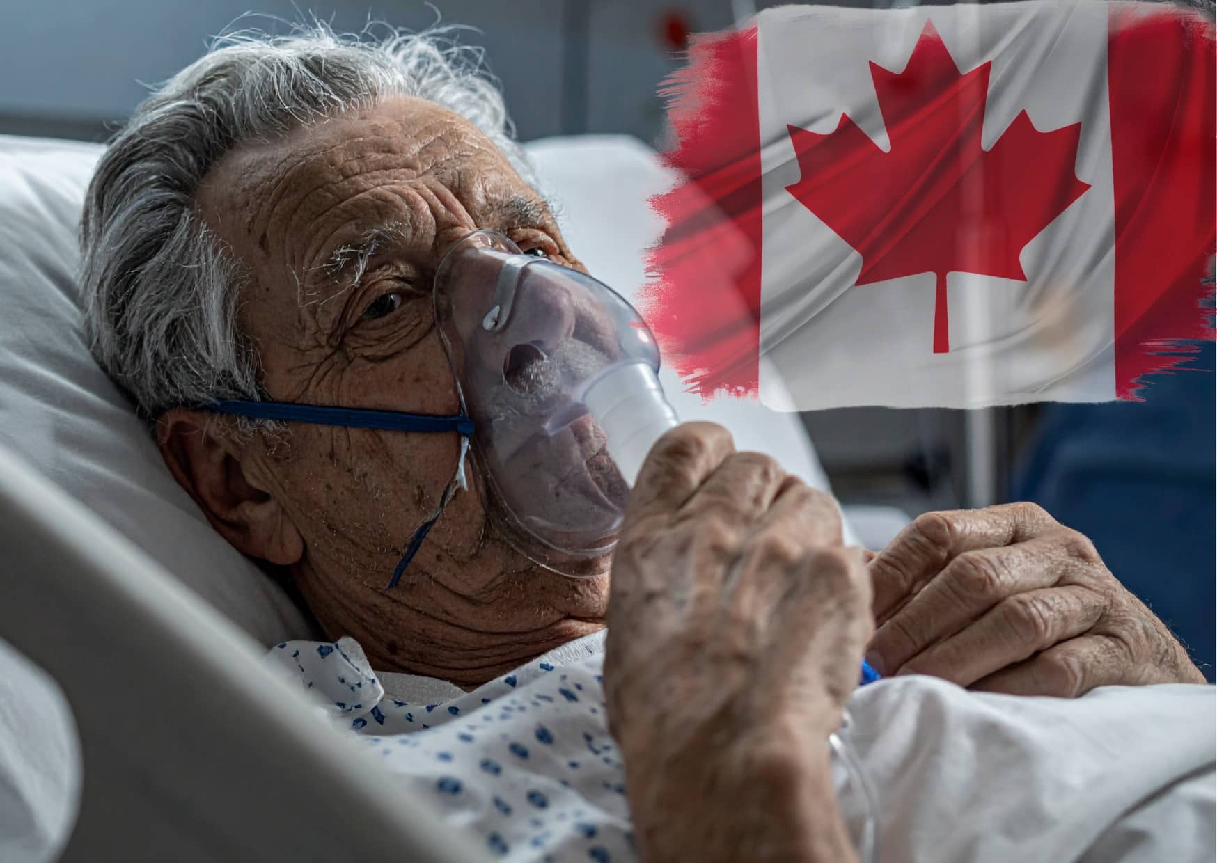 euthanasies en augmentation au québec toujours aucune évaluation des soins palliatifs