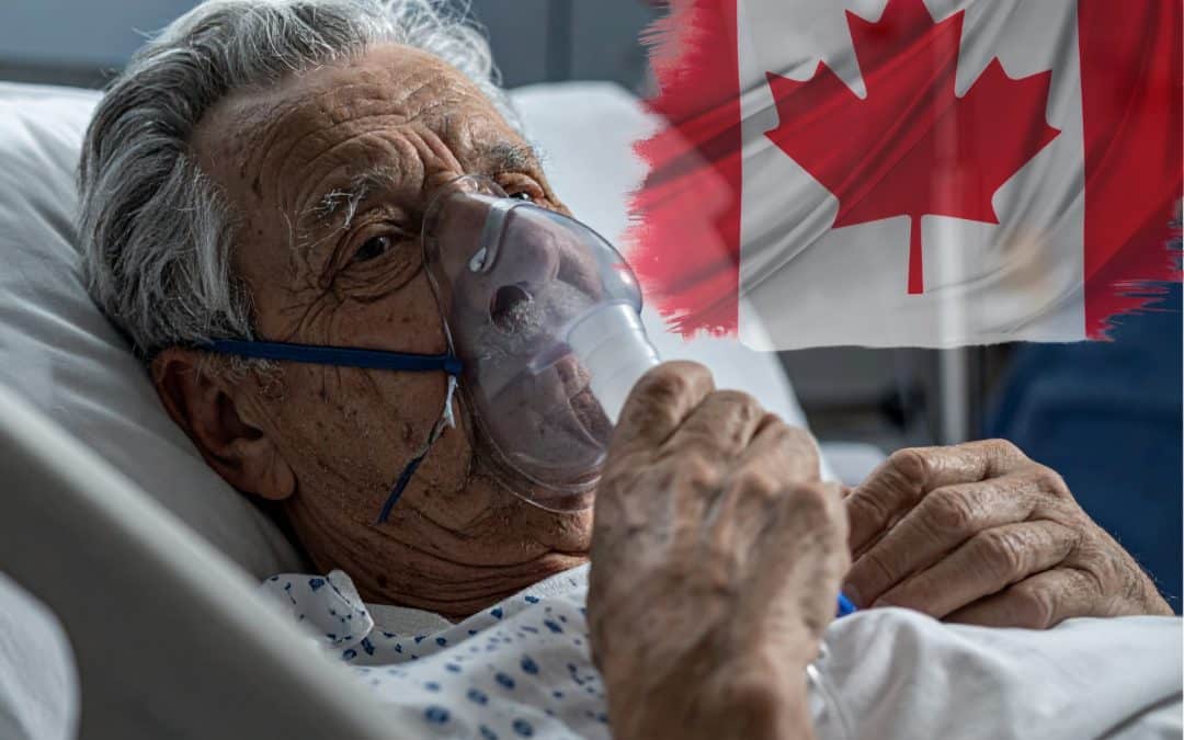 Euthanasies en augmentation au Québec : toujours aucune évaluation des soins palliatifs