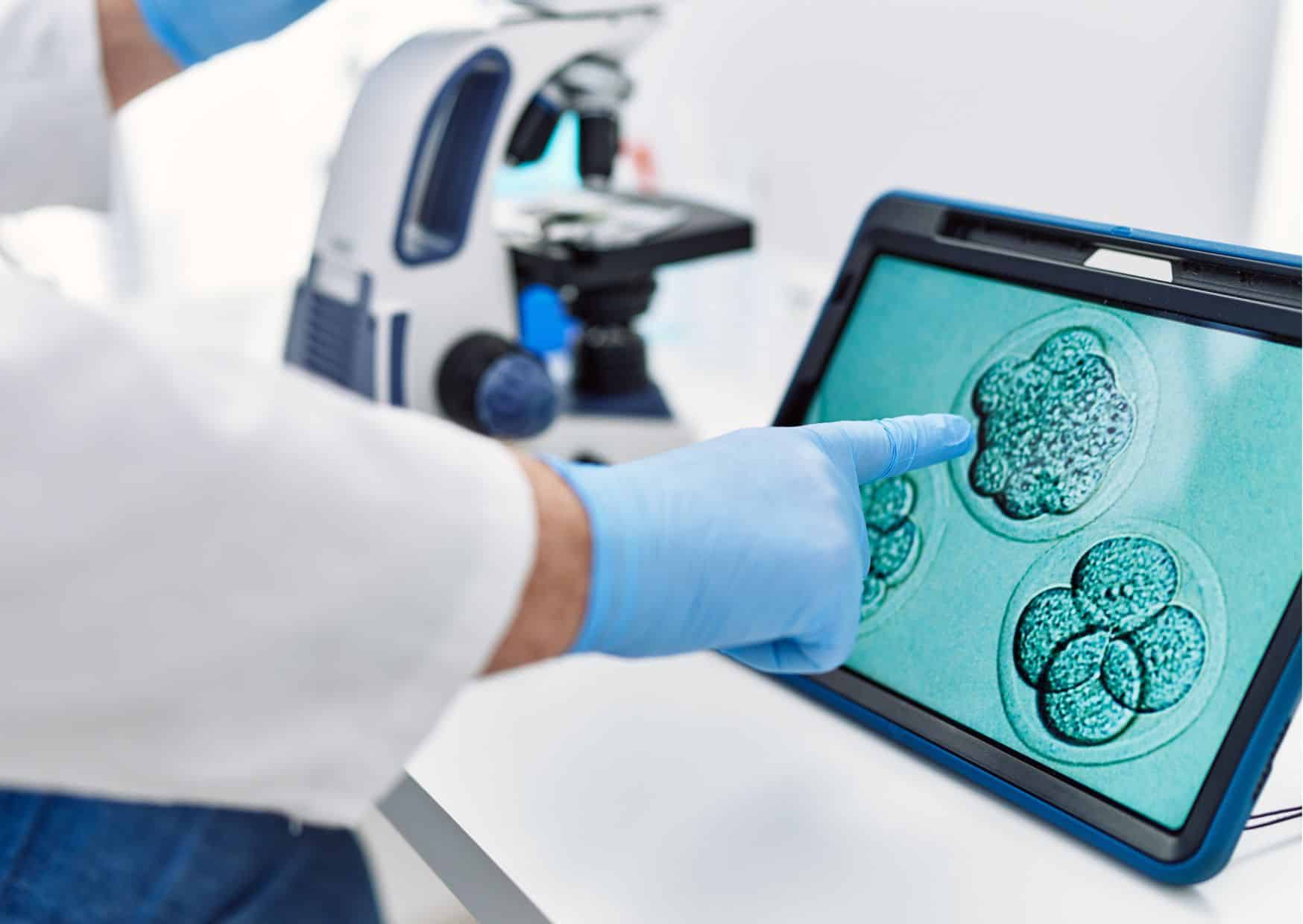 quand les entreprises promettent de choisir l’embryon idéal