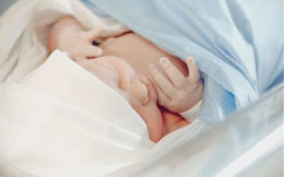 Démographie : la fin de « l&rsquo;exception française »