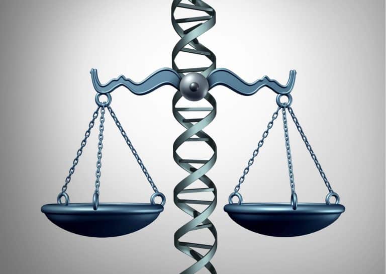 The major bioethical stakes for 2026