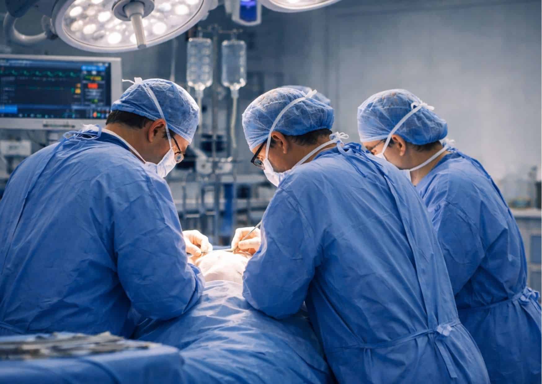 face graft following euthanasia of the donor