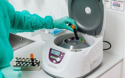 Autoconservation des ovocytes : une consultation qui passe à côté des vraies questions