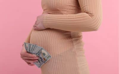 La Conférence de la Haye stoppe une convention internationale sur la GPA