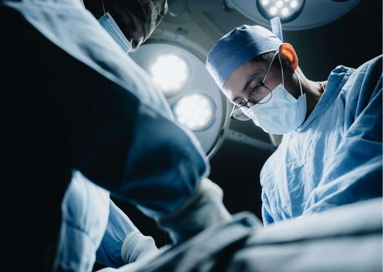 xénogreffes : des repères éthiques pour accompagner les progrès scientifiques